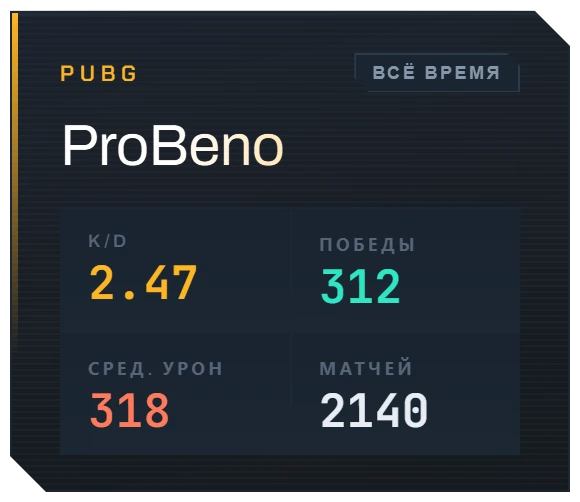 PUBG: статистика за всё время